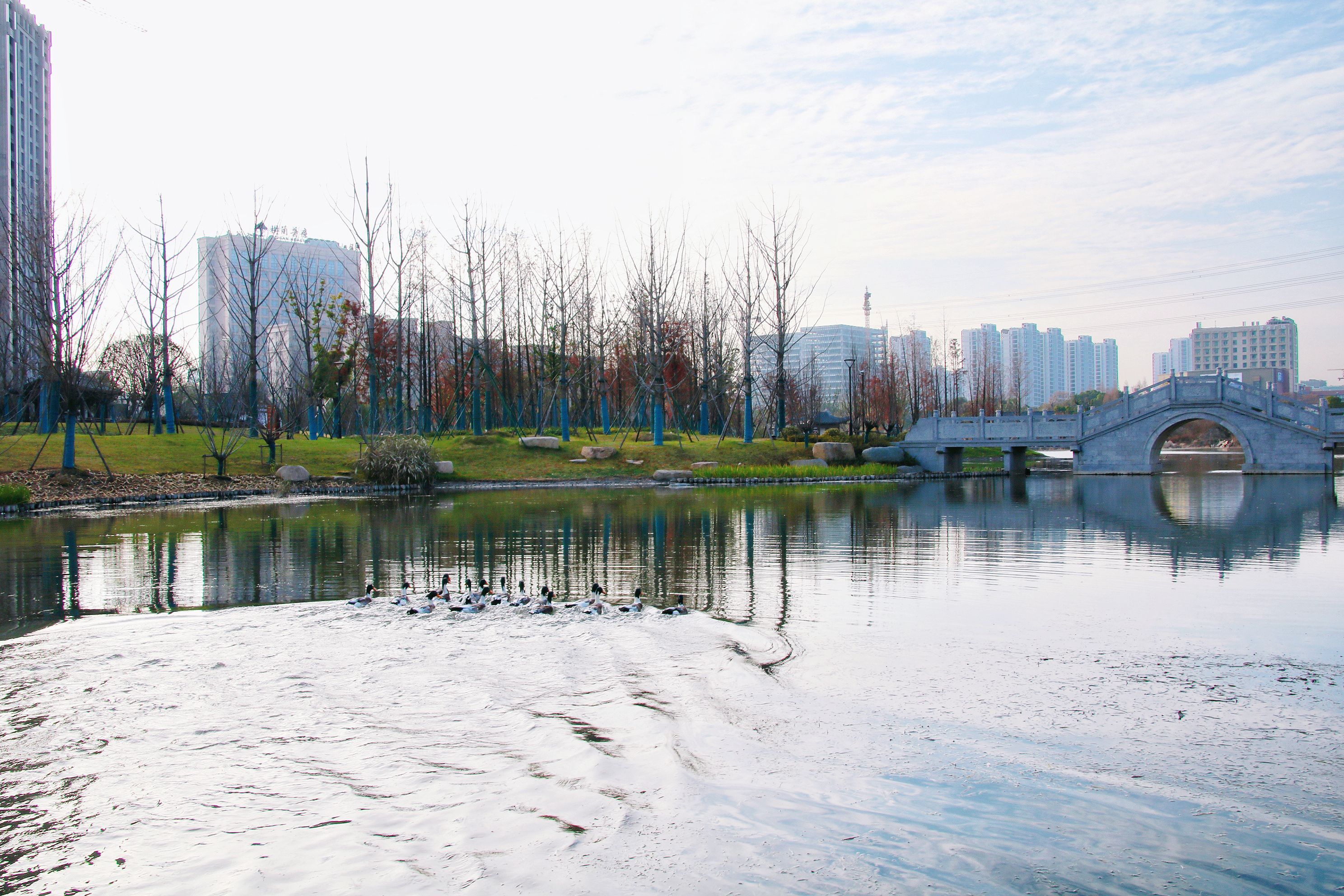 ​杭州北景园生态公园一期水质提升项目